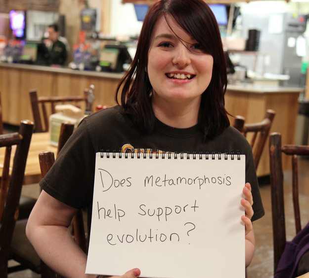 Hosted by imgur.com image